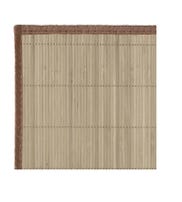 DELAN PLACEMAT