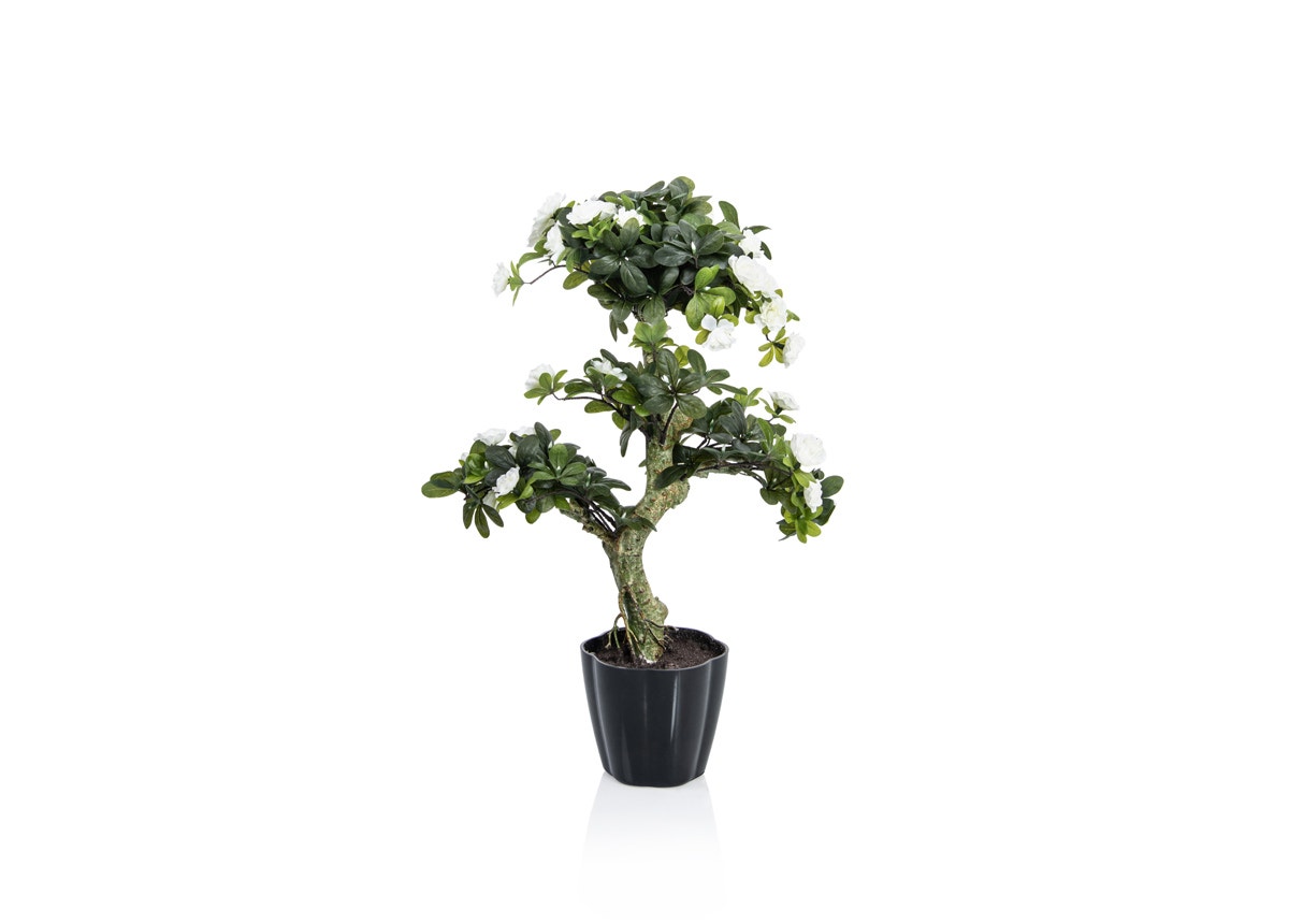 CAMELIA ARTIFICIAL TREE SMALL MADE FROM PLASTIC