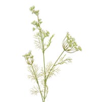 QUEEN ARTIFICIAL PLANT 84CM