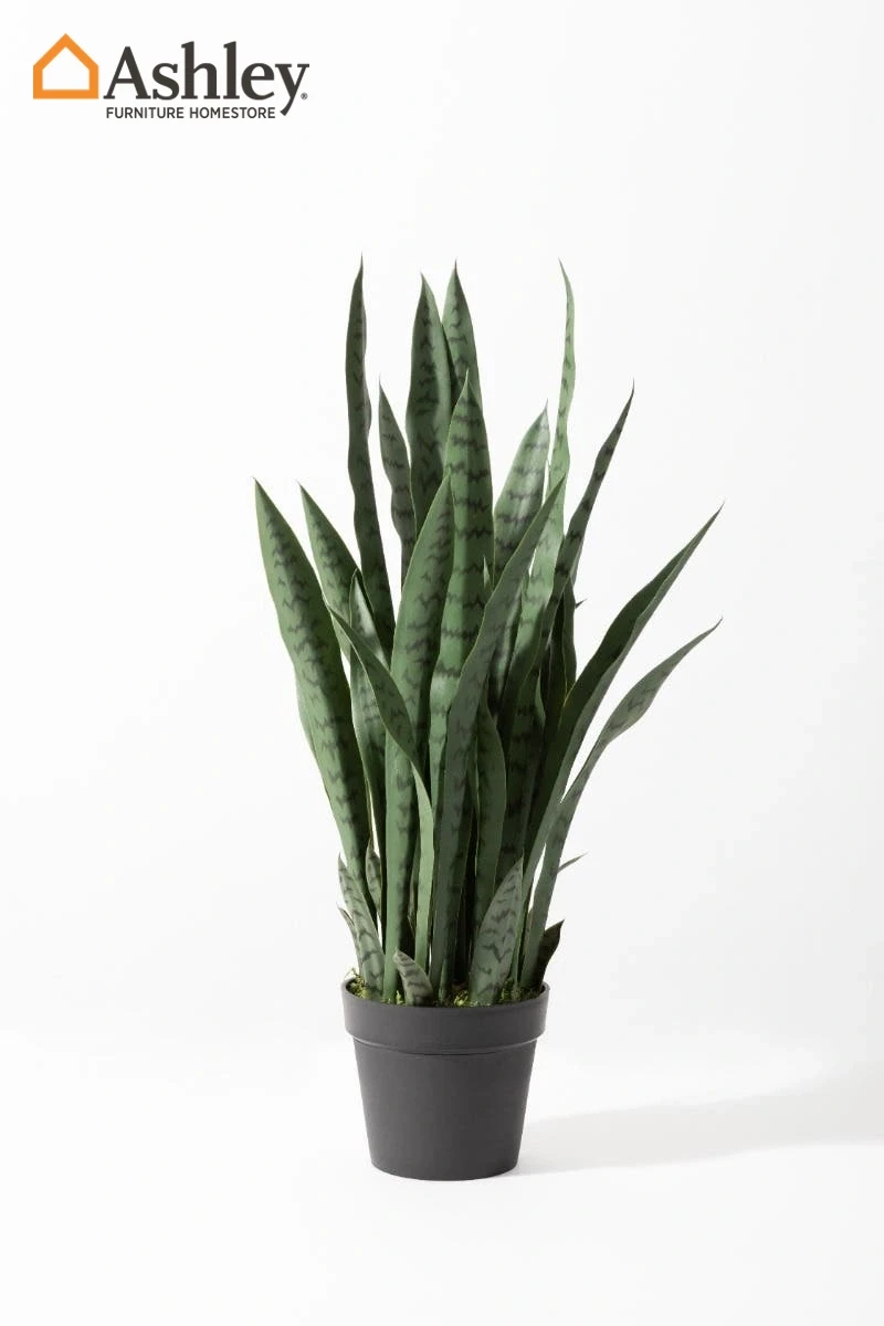 DRACAENA ARTIFICIAL PLANT MADE FROM PLASTIC