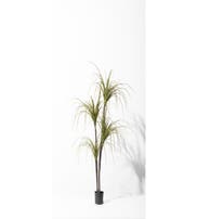 CLAYTON ARTIFICIAL PLANT 170CM