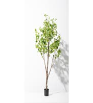 CARL ARTIFICIAL PLANT 190CM