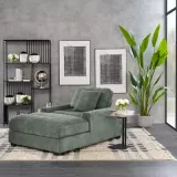 الفئات شيزلونج image