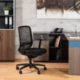Category Mesh Chairs image